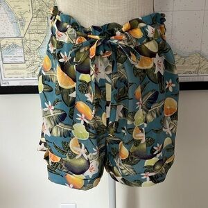Kavu Shorts